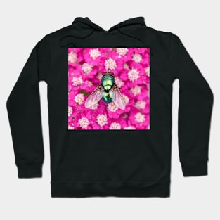 Greenbottle Hoodie